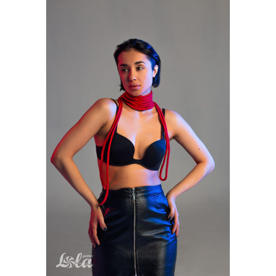 Веревка Party Hard Do Not Disturb Red 5м 1157-02lola