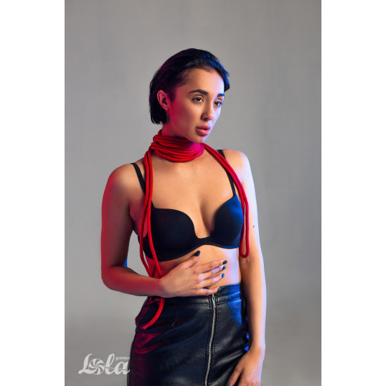 Веревка Party Hard Do Not Disturb Red 5м 1157-02lola