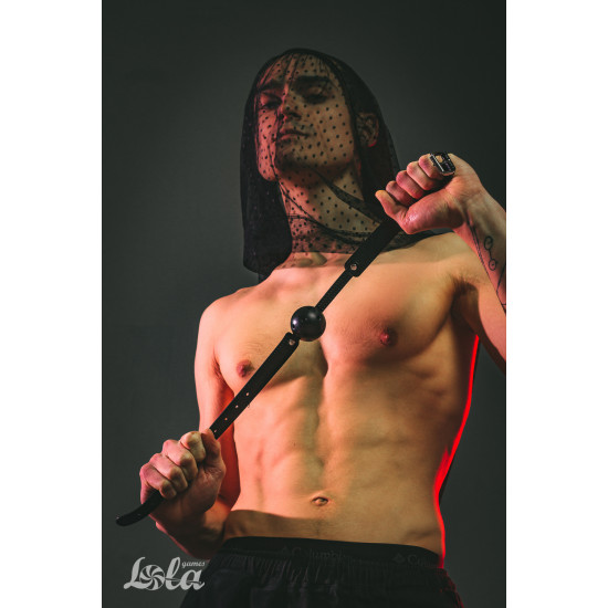 Кляп Party Hard Joyride 1165-01lola