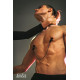 Зажимы на Cоски Party Hard Desire 1137-01lola