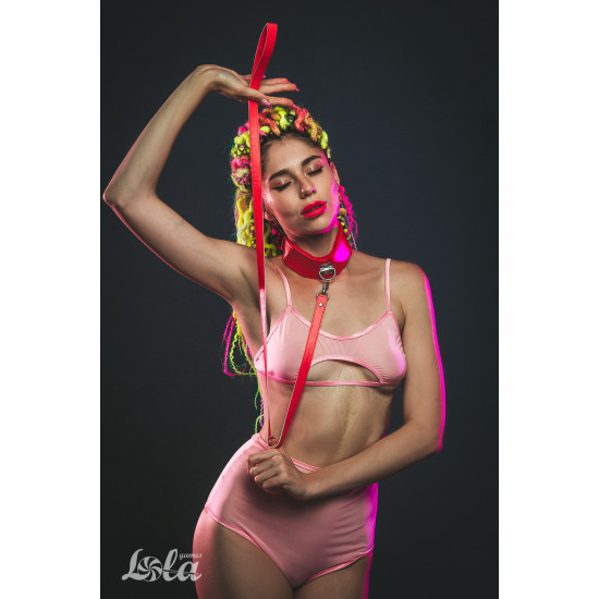 Ошейник Party Hard Circus Red 1085-02lola