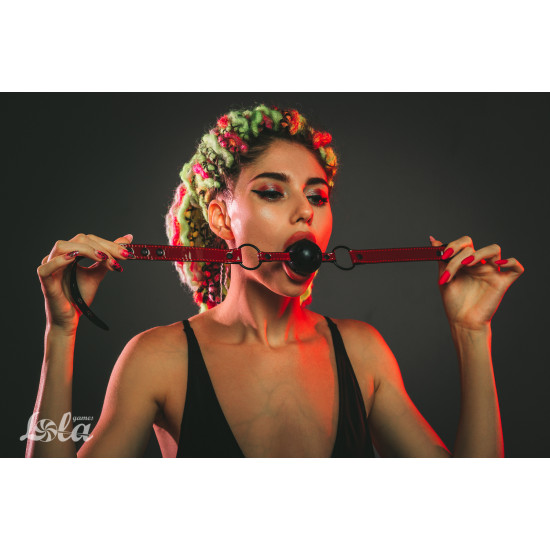 Кляп Party Hard Love Bite 1153-01lola