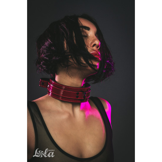 Ошейник Party Hard Eccentric 1092-01lola