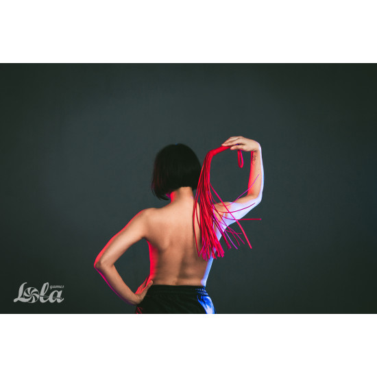 Плеть Party Hard Temptation Red 1114-02lola