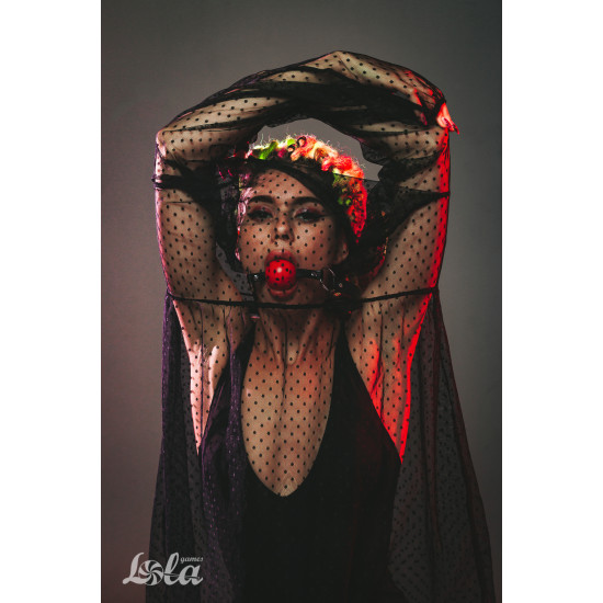 Кляп Party Hard Love Spell Red 1144-02lola