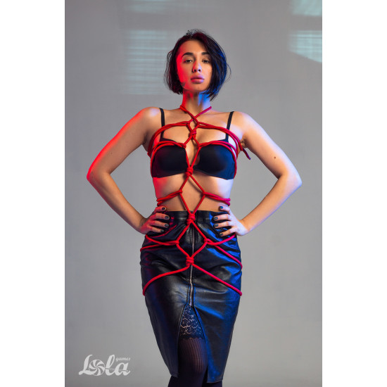 Веревка Party Hard Tender Red 10м 1158-02lola